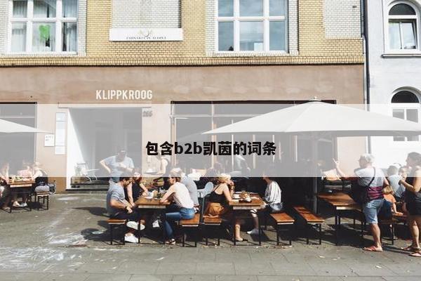 包含b2b凯茵的词条