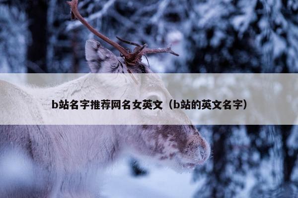 b站名字推荐网名女英文（b站的英文名字）