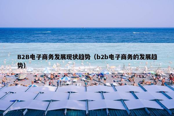 B2B电子商务发展现状趋势（b2b电子商务的发展趋势）