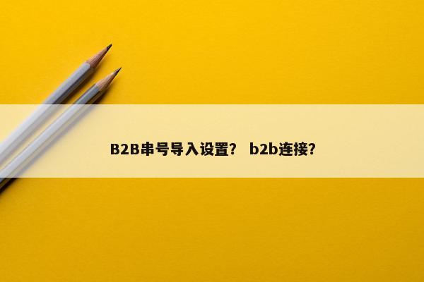 B2B串号导入设置？ b2b连接？
