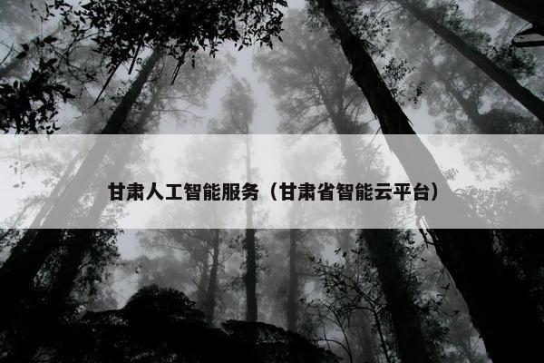 甘肃人工智能服务（甘肃省智能云平台）