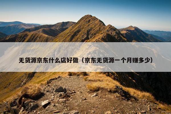 无货源京东什么店好做（京东无货源一个月赚多少）