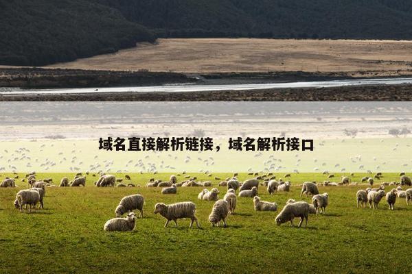 域名直接解析链接，域名解析接口