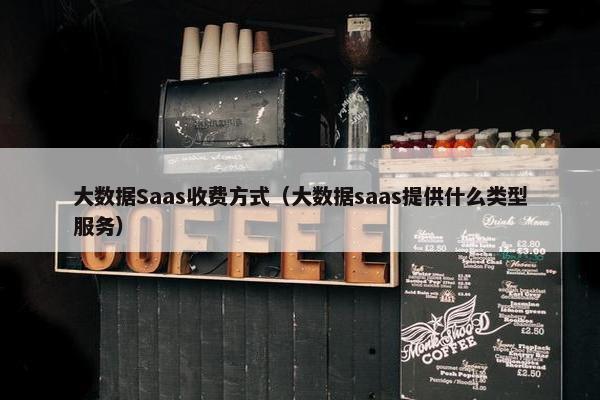大数据Saas收费方式（大数据saas提供什么类型服务）