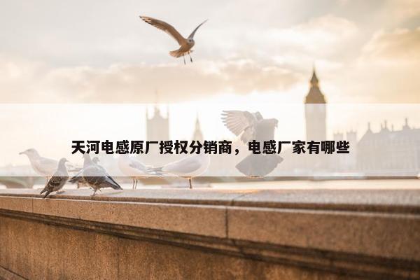 天河电感原厂授权分销商，电感厂家有哪些