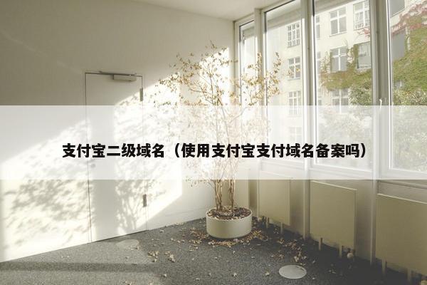 支付宝二级域名（使用支付宝支付域名备案吗）