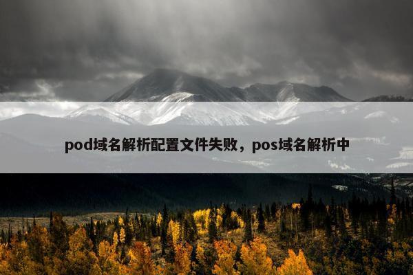 pod域名解析配置文件失败，pos域名解析中