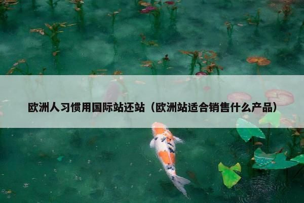 欧洲人习惯用国际站还站（欧洲站适合销售什么产品）