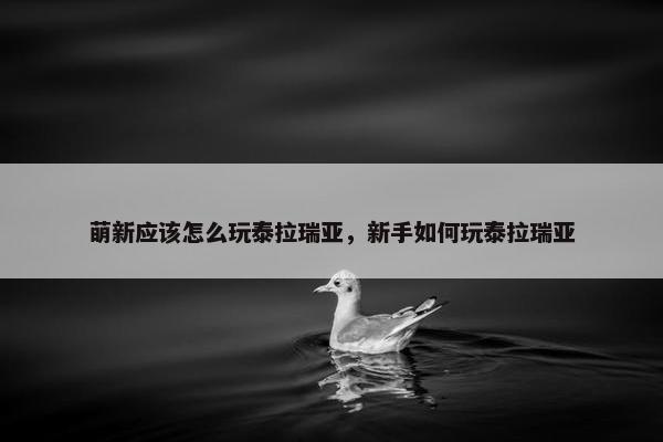 萌新应该怎么玩泰拉瑞亚，新手如何玩泰拉瑞亚
