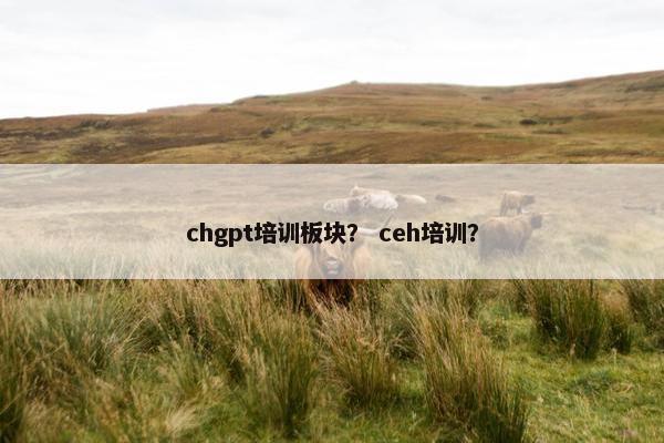 chgpt培训板块？ ceh培训？