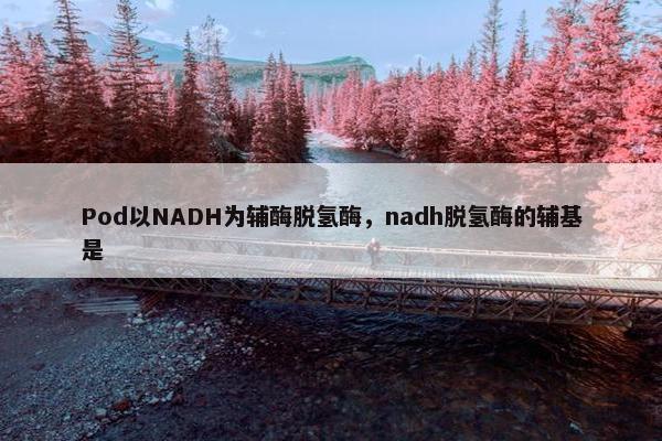 Pod以NADH为辅酶脱氢酶，nadh脱氢酶的辅基是