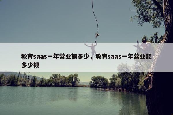 教育saas一年营业额多少，教育saas一年营业额多少钱