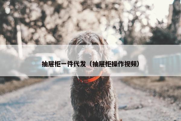 抽屉柜一件代发（抽屉柜操作视频）