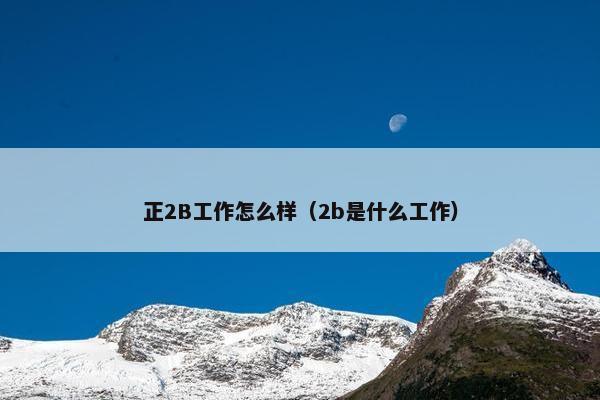 正2B工作怎么样（2b是什么工作）