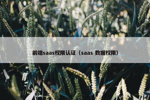 前端saas权限认证（saas 数据权限）