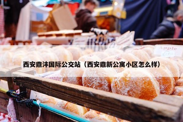 西安鼎沣国际公交站（西安鼎新公寓小区怎么样）