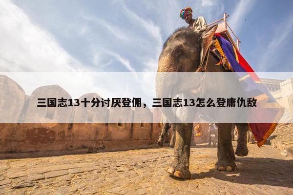 三国志13十分讨厌登佣，三国志13怎么登庸仇敌