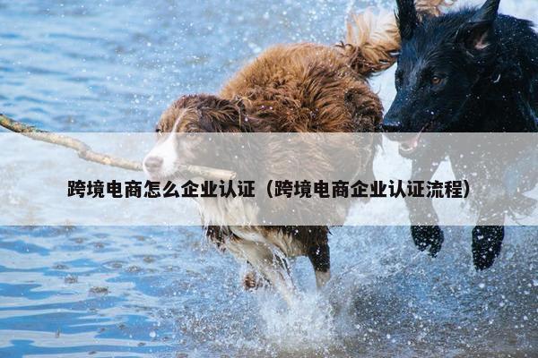 跨境电商怎么企业认证（跨境电商企业认证流程）