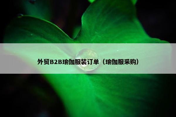 外贸B2B瑜伽服装订单（瑜伽服采购）