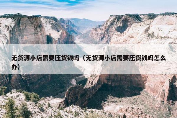 无货源小店需要压货钱吗（无货源小店需要压货钱吗怎么办）
