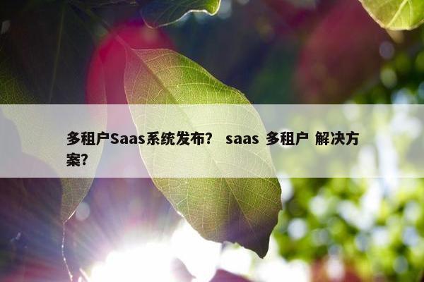 多租户Saas系统发布？ saas 多租户 解决方案？