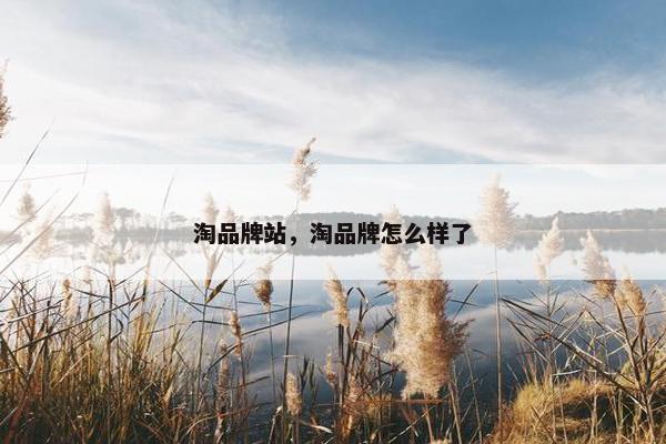 淘品牌站，淘品牌怎么样了