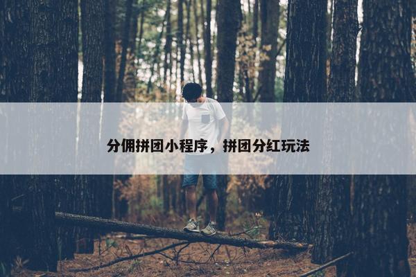 分佣拼团小程序，拼团分红玩法