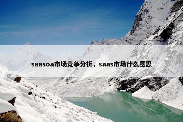 saasoa市场竞争分析，saas市场什么意思