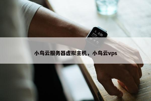 小鸟云服务器虚拟主机，小鸟云vps