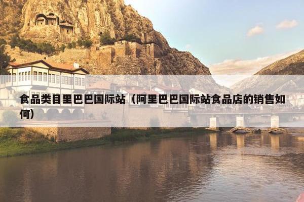 食品类目里巴巴国际站（阿里巴巴国际站食品店的销售如何）
