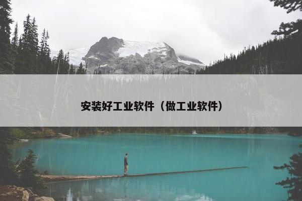 安装好工业软件（做工业软件）