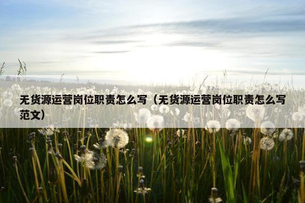 无货源运营岗位职责怎么写（无货源运营岗位职责怎么写范文）