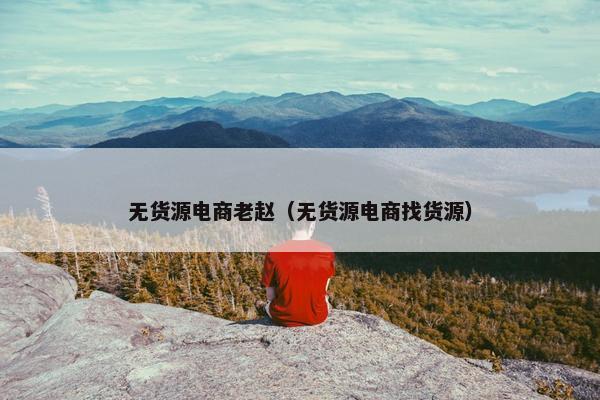无货源电商老赵（无货源电商找货源）