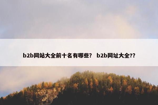 b2b网站大全前十名有哪些？ b2b网址大全?？