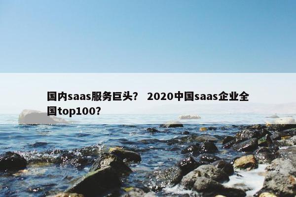 国内saas服务巨头？ 2020中国saas企业全国top100？
