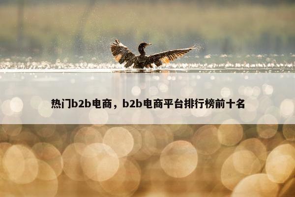 热门b2b电商，b2b电商平台排行榜前十名