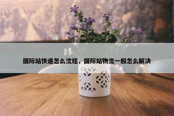 国际站快递怎么流程，国际站物流一般怎么解决