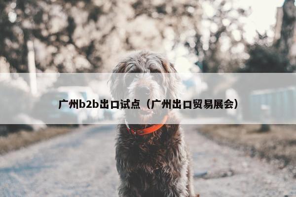 广州b2b出口试点（广州出口贸易展会）