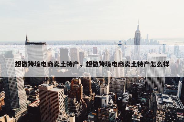 想做跨境电商卖土特产，想做跨境电商卖土特产怎么样