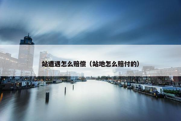 站遭遇怎么赔偿（站地怎么赔付的）