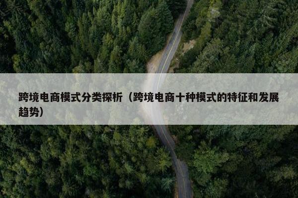 跨境电商模式分类探析（跨境电商十种模式的特征和发展趋势）