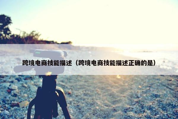跨境电商技能描述（跨境电商技能描述正确的是）