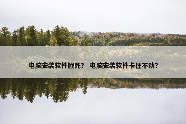电脑安装软件假死？ 电脑安装软件卡住不动？