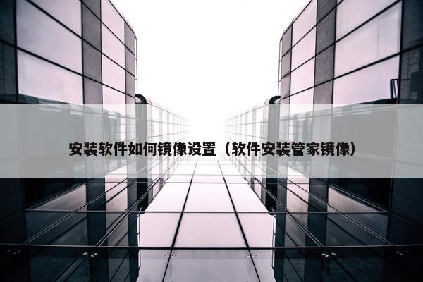 安装软件如何镜像设置（软件安装管家镜像）