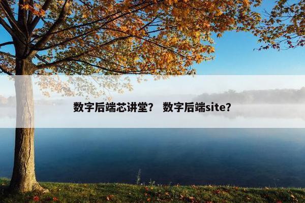 数字后端芯讲堂？ 数字后端site？