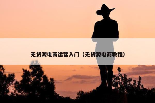 无货源电商运营入门（无货源电商教程）