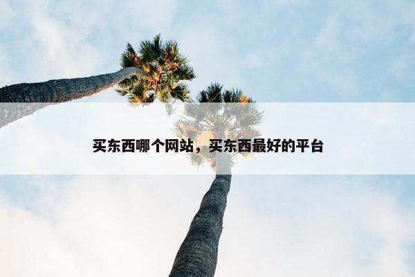 买东西哪个网站，买东西最好的平台