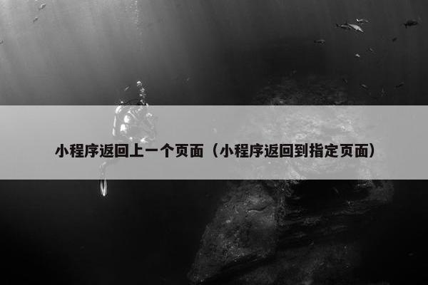 小程序返回上一个页面（小程序返回到指定页面）