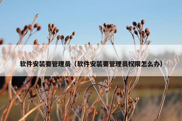软件安装要管理员（软件安装要管理员权限怎么办）