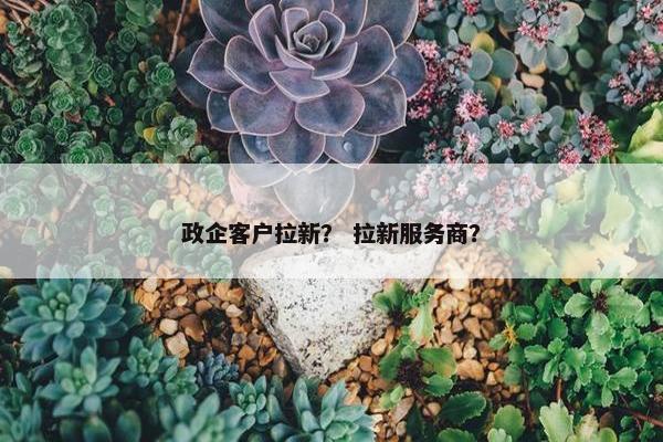 政企客户拉新？ 拉新服务商？